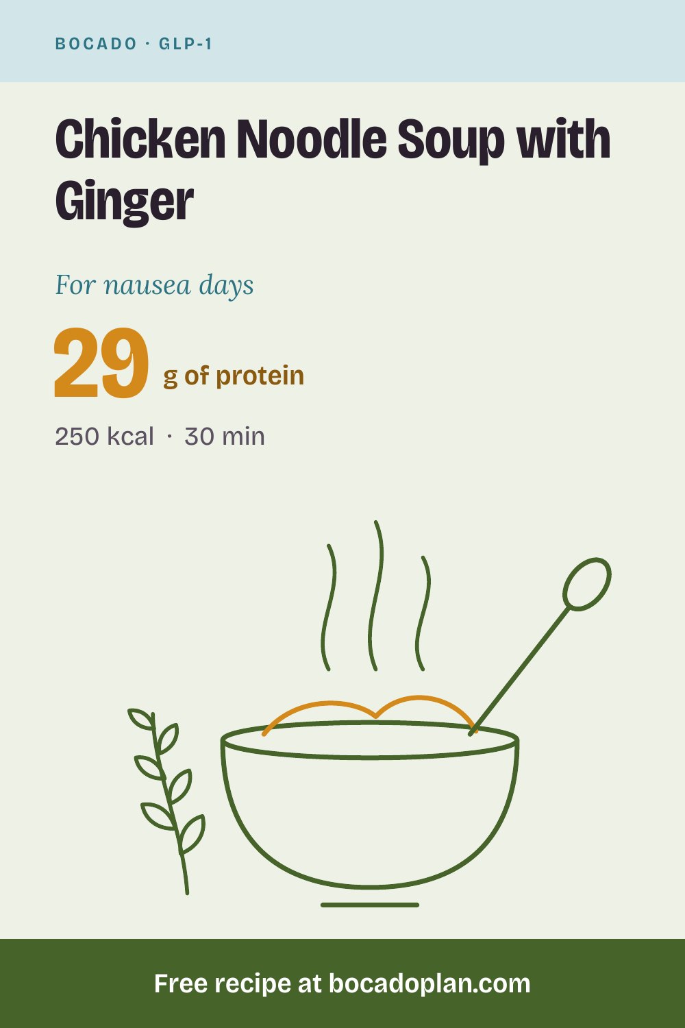 Chicken Noodle Soup with Ginger